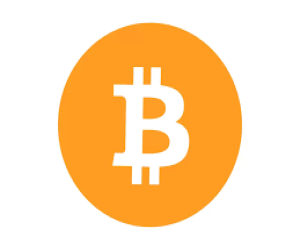 BTC Payment